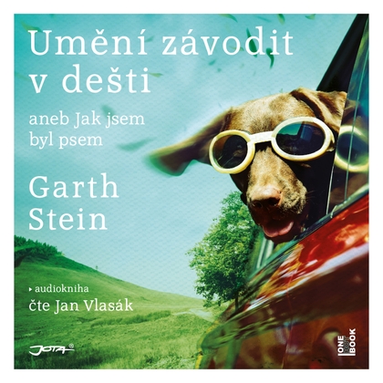 Audiokniha Umění závodit v dešti - Jan Vlasák, Garth Stein