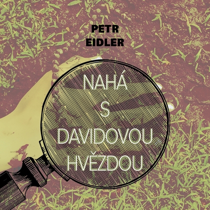 Audiokniha Nahá s Davidovou hvězdou - Martin Preiss, Petr Eidler