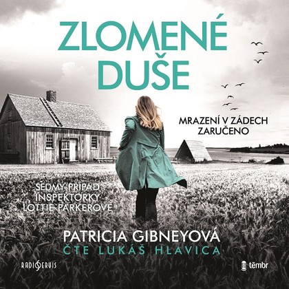 Audiokniha Zlomené duše - Lukáš Hlavica, Patricia Gibneyová